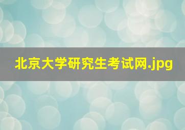 北京大学研究生考试网